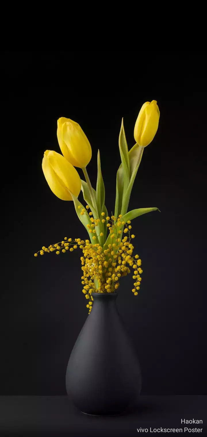 yellow tulip