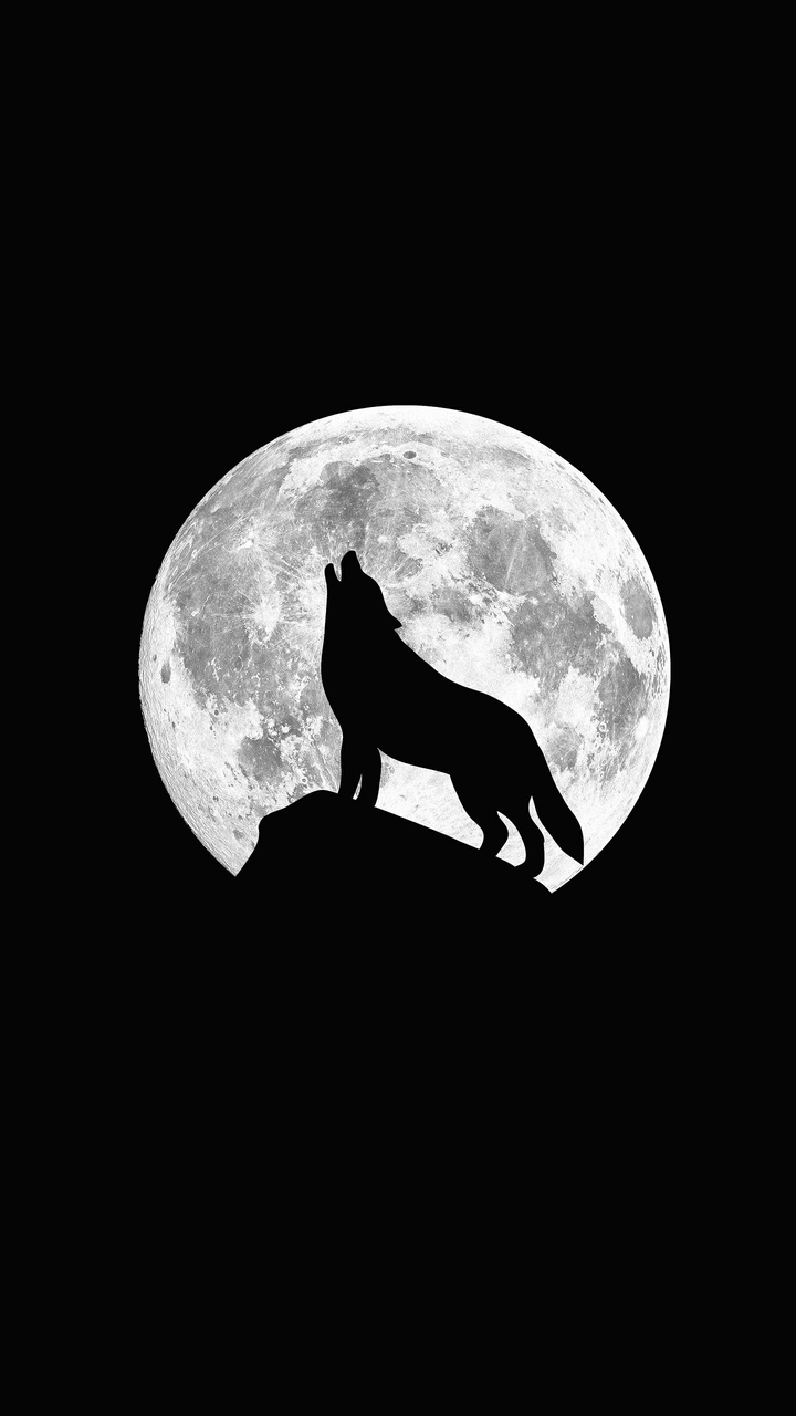 Wolf night