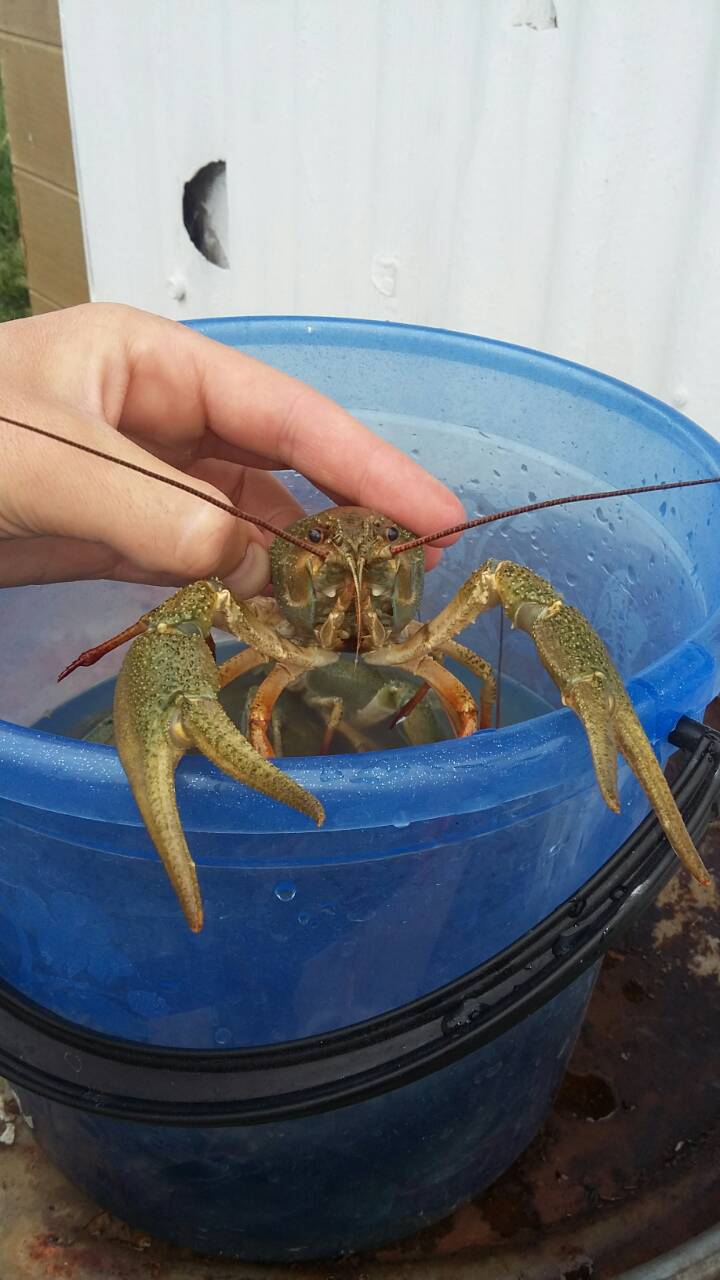 @@@@@