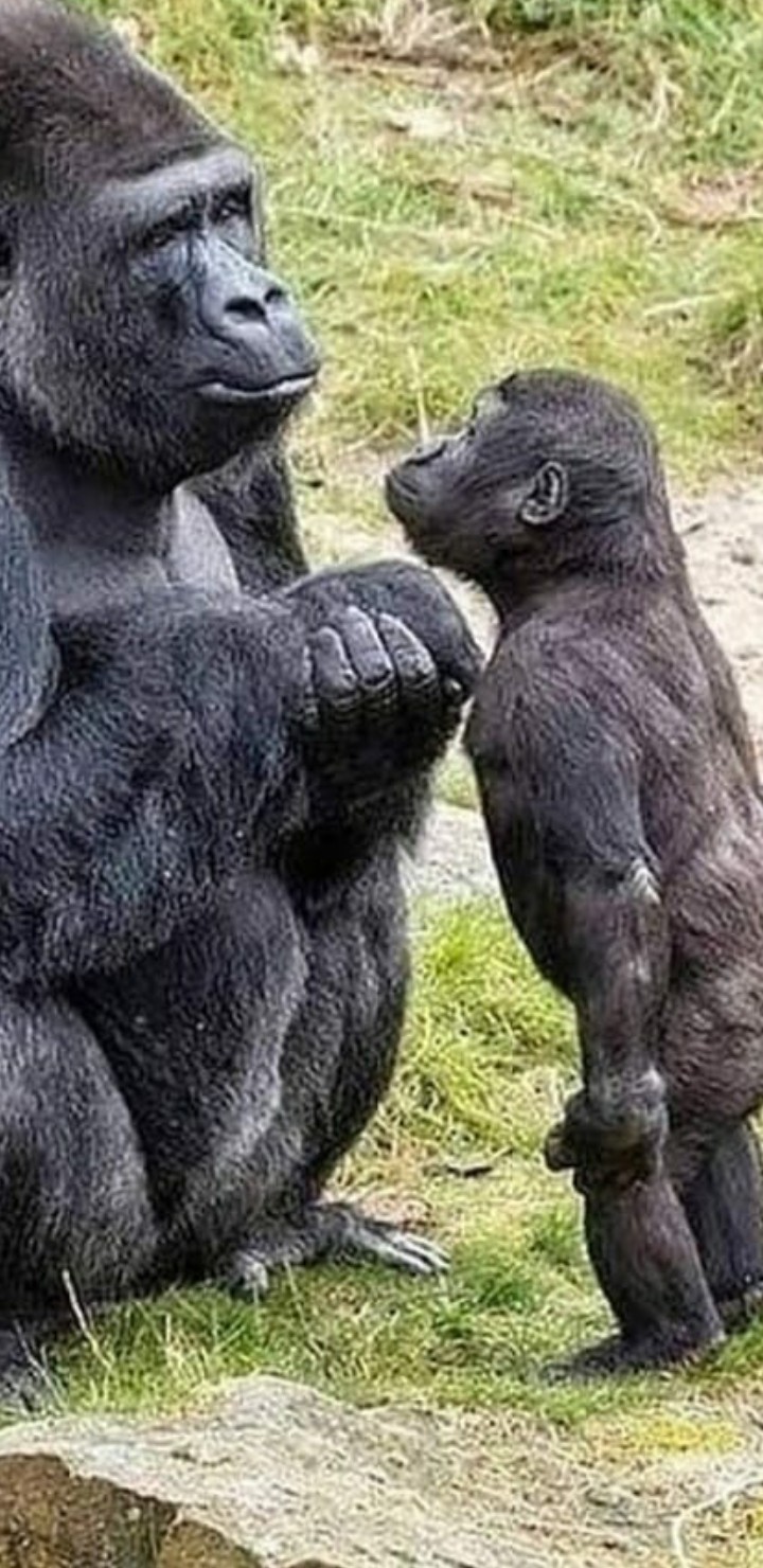 ?