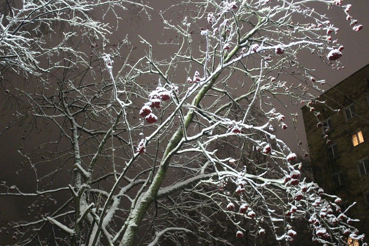 winter,russia