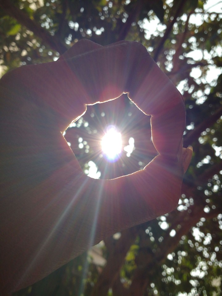 Sunshine