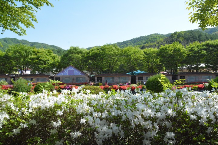 유일레저타운이미지
