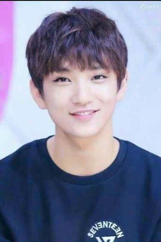 Seventeen Joshua