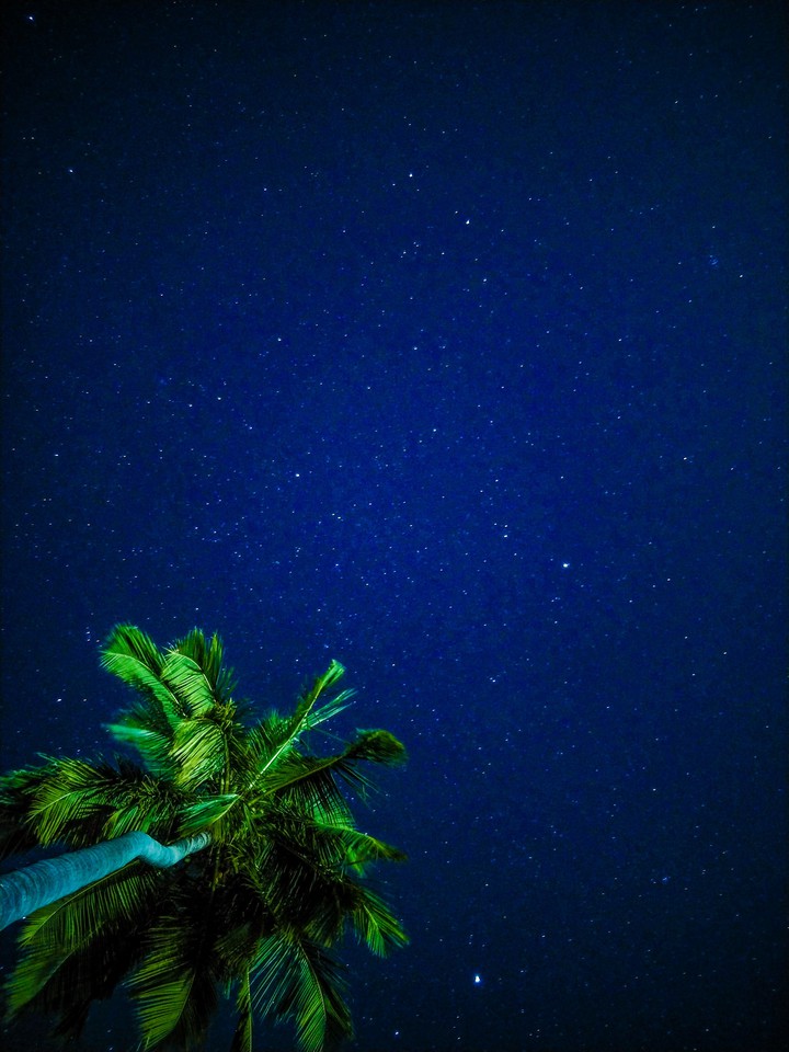 stars