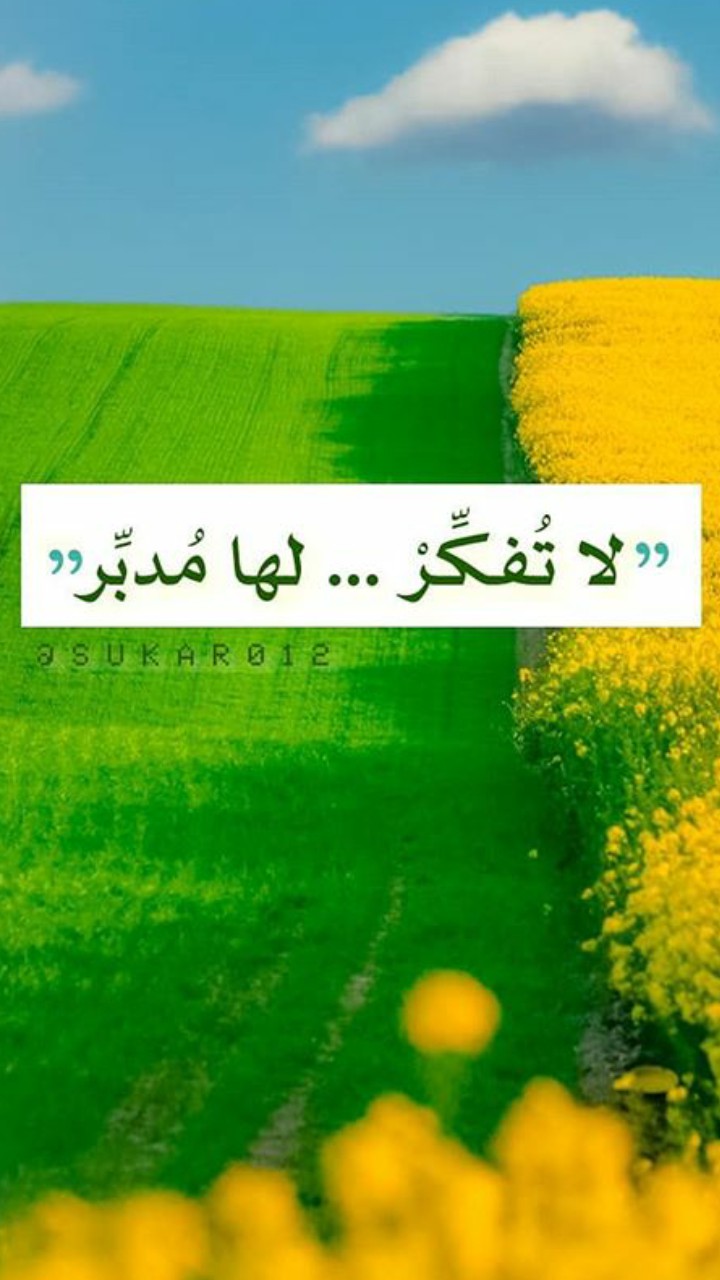 لا تفكر ، لها مدبر ?