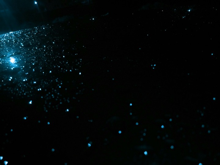 Raindrops in a Car.