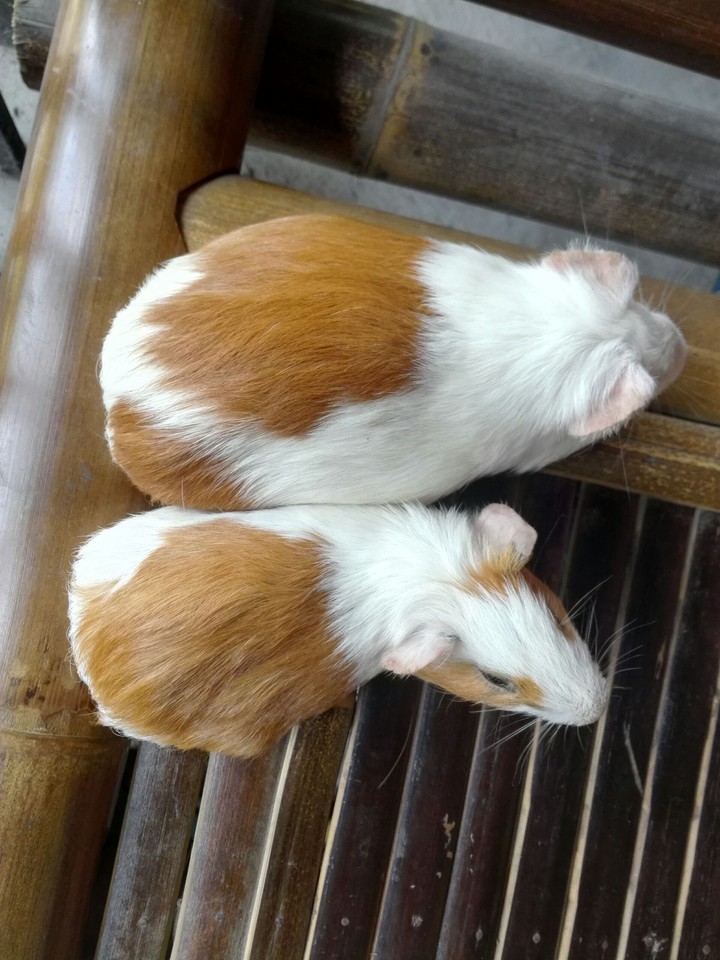 Big and Small
