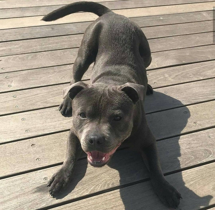 ♥️♥️♥️