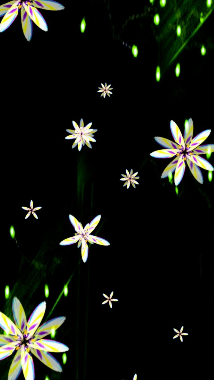 Artistic flowers 405