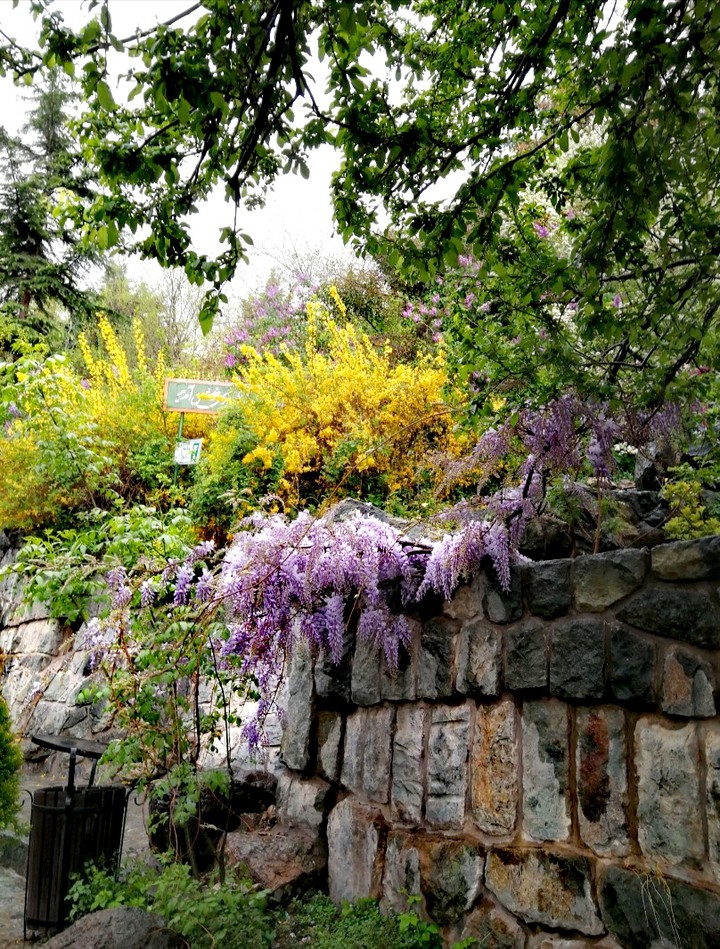 Spring