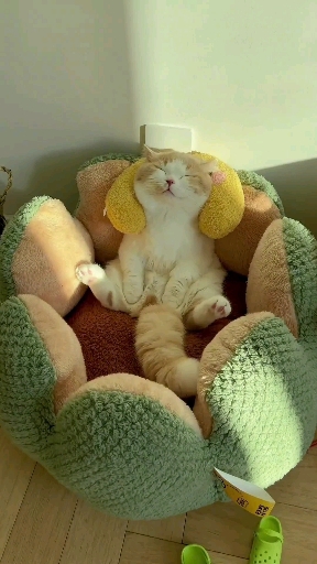 chilling time