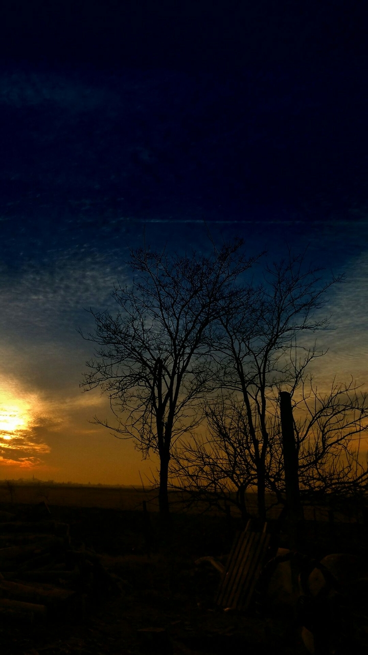 Evening