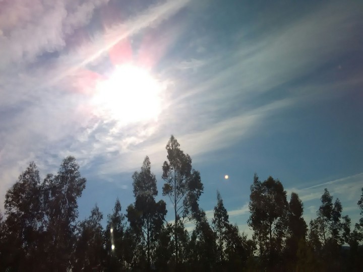 Sky