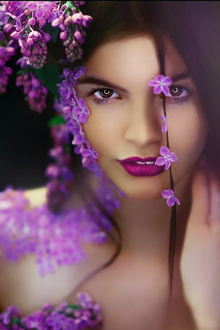 Queen of the lilac