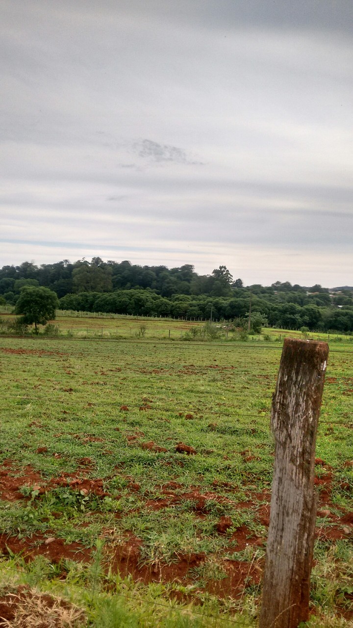 farm