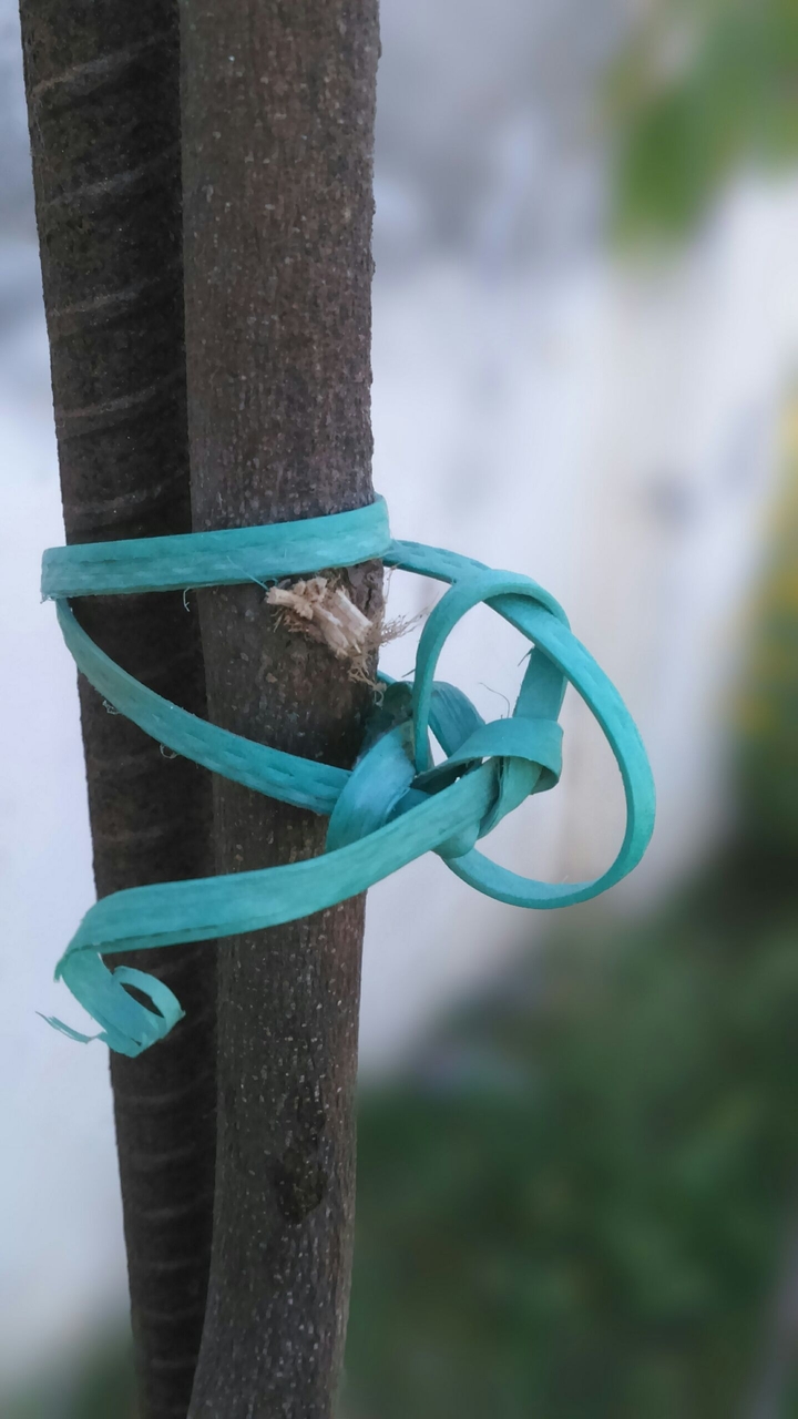 rope