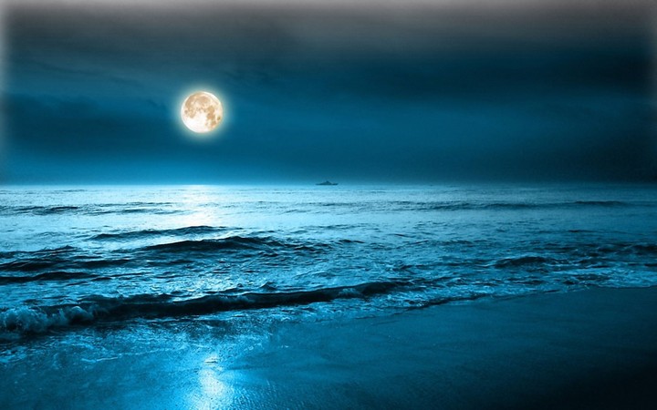 moonlight and the beach