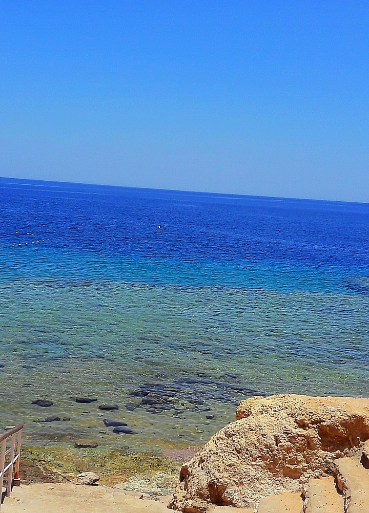 red sea