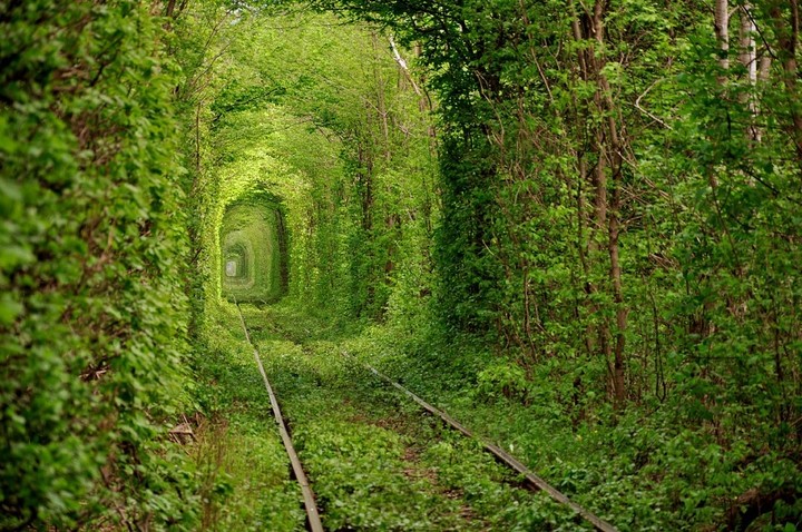 Natura