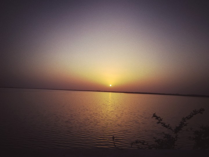 natures