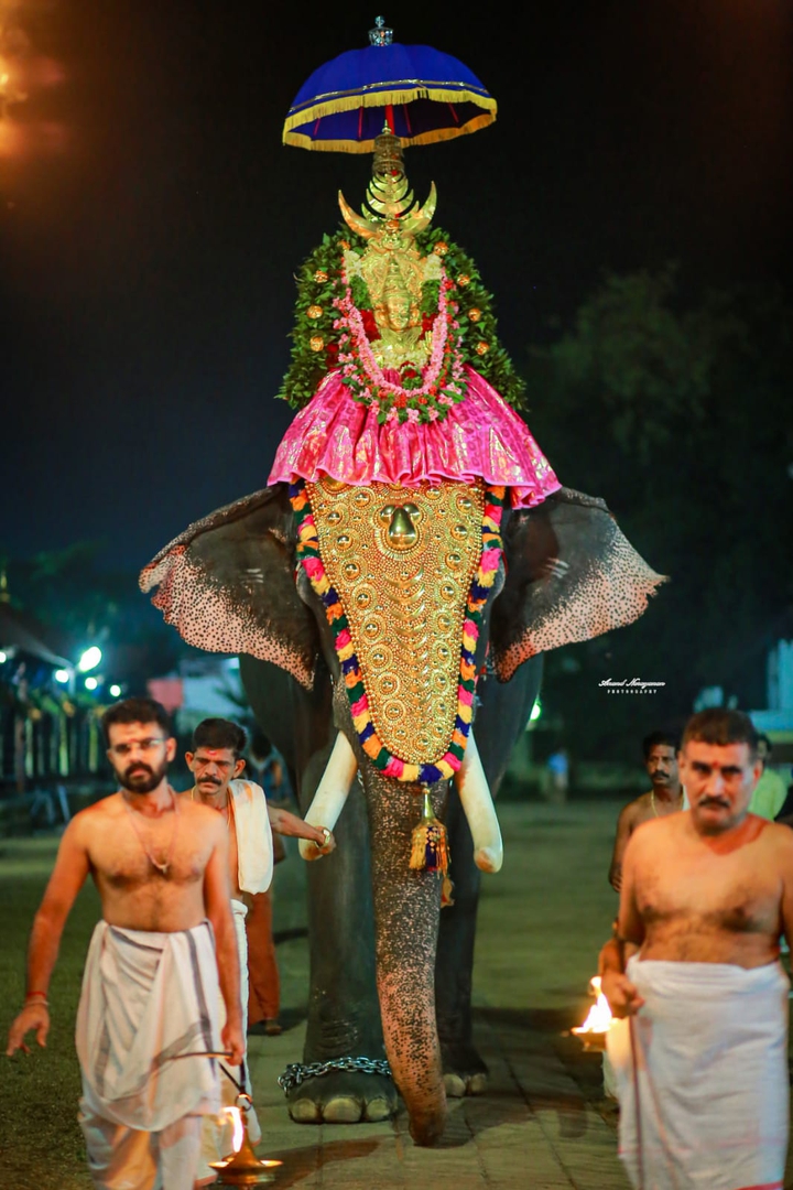 Temple Festival In Kerala