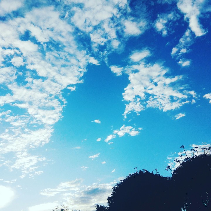 sky love
