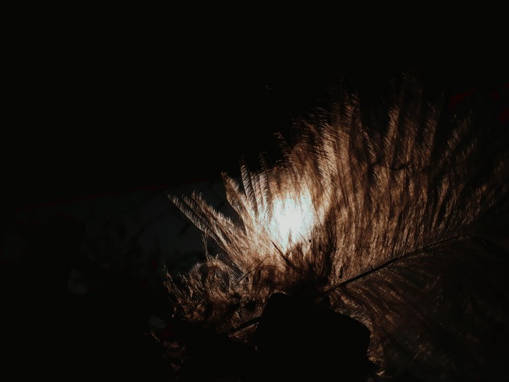 sun