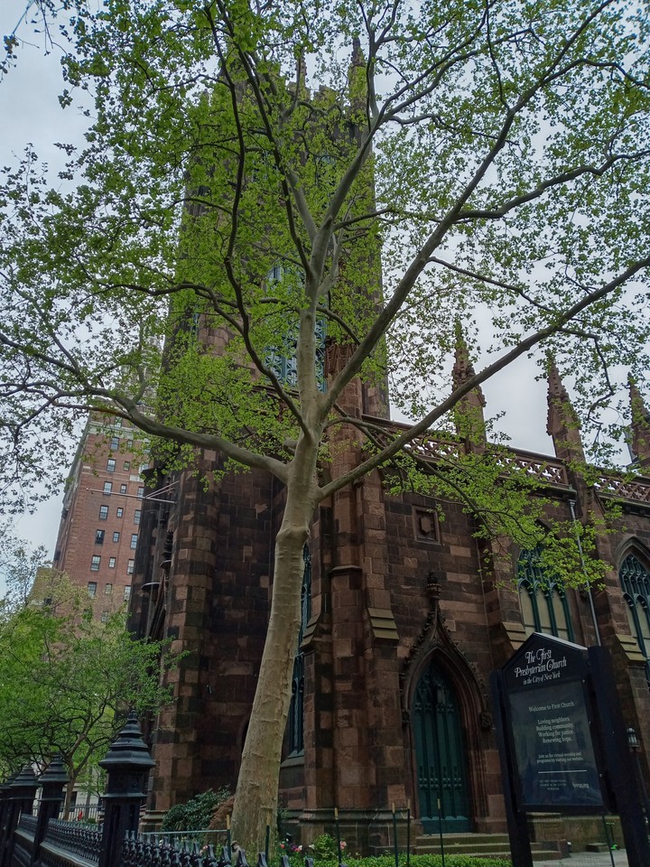 NYC