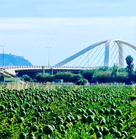 ταπετσαρίες overpass, Plantation