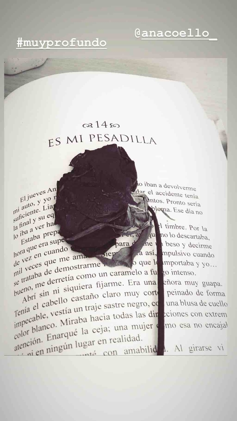 mi mundo de libros