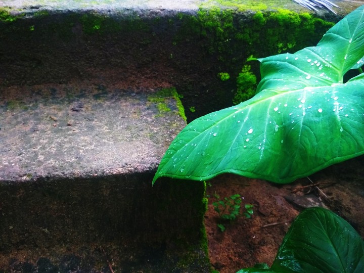 steps