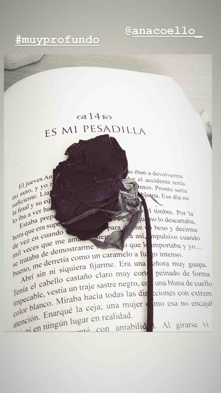 mi mundo de libros