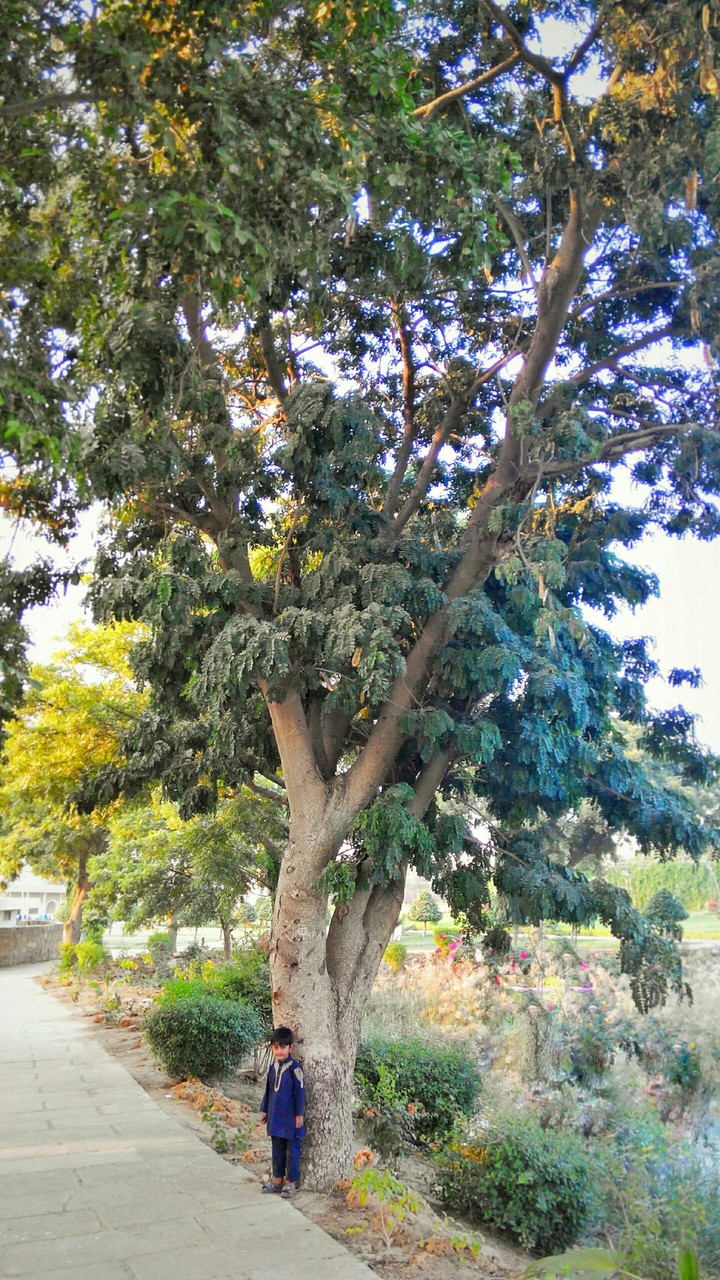 NAture