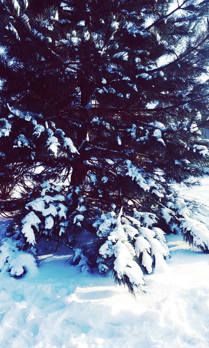 Winter