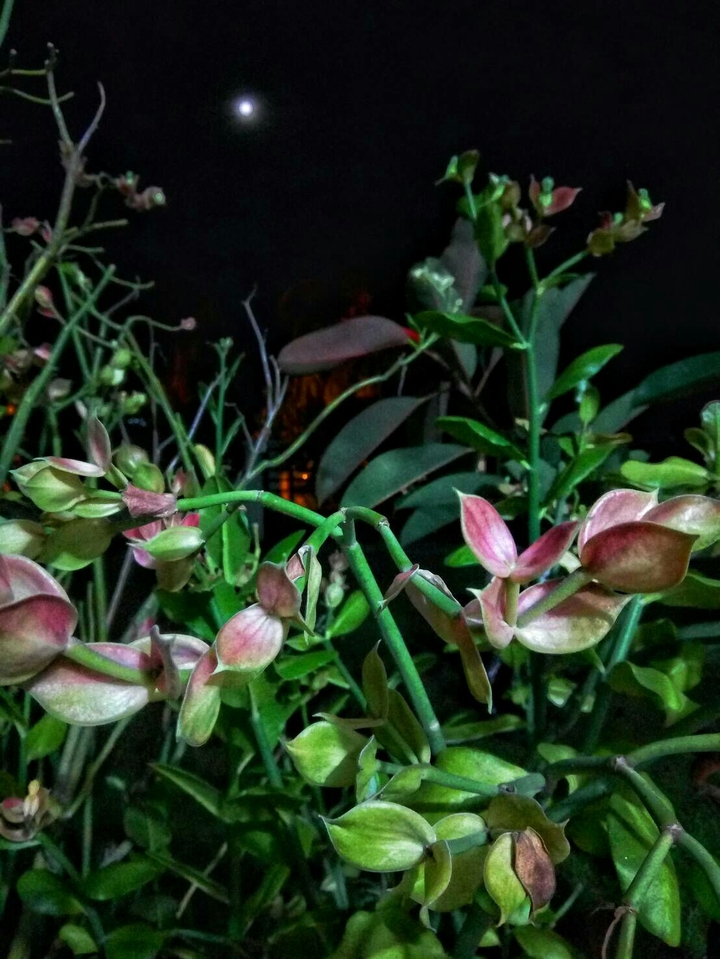 at night