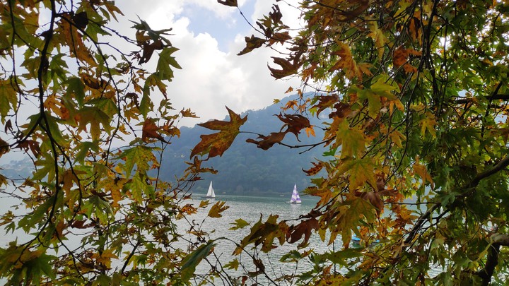 Nainital through Maple