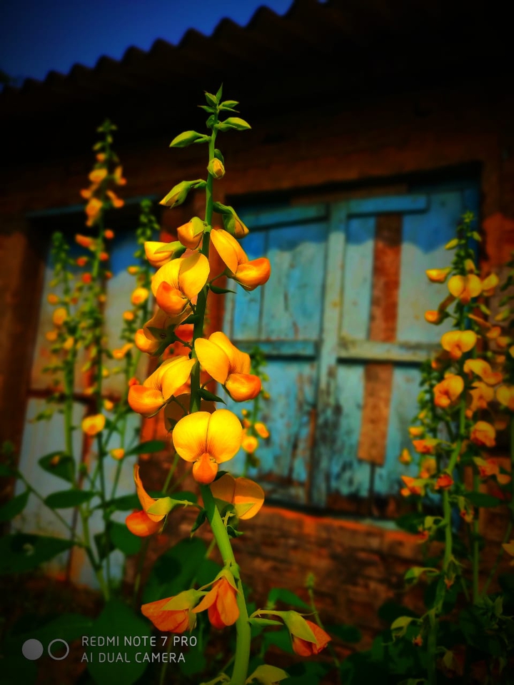 redmi note 7 pro