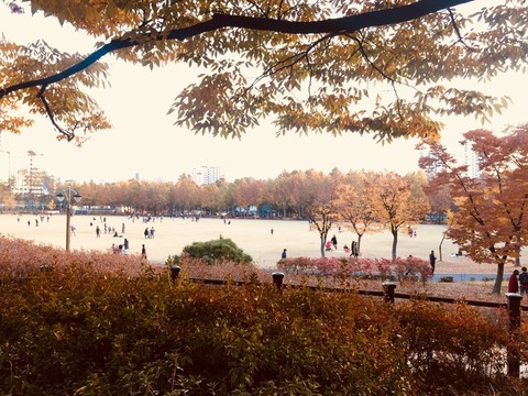 autumn