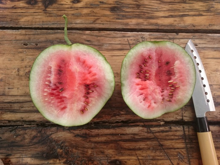 Watermelon