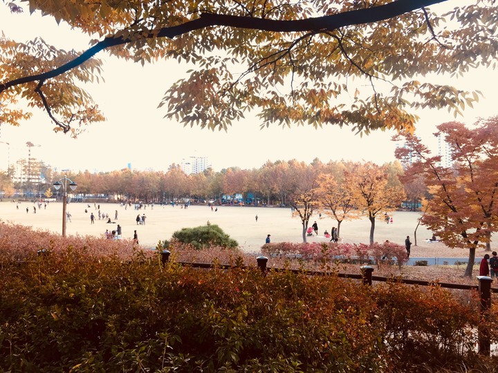 autumn