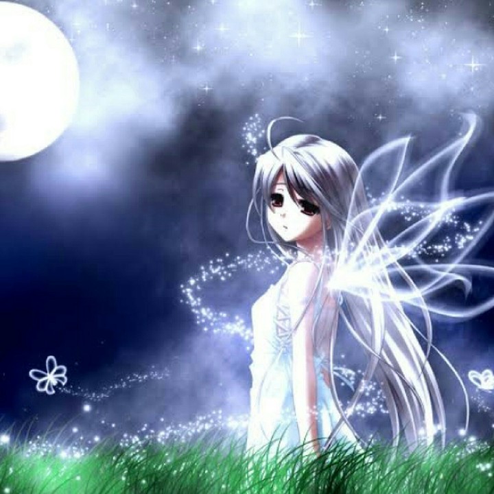 A fairy!!