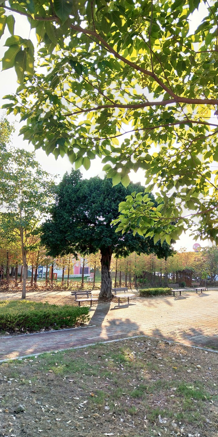 Park in Taichung City