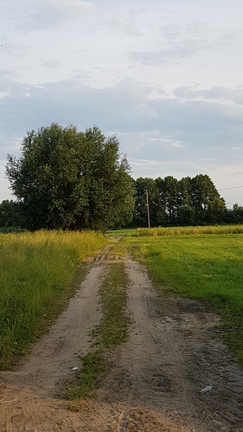 County road