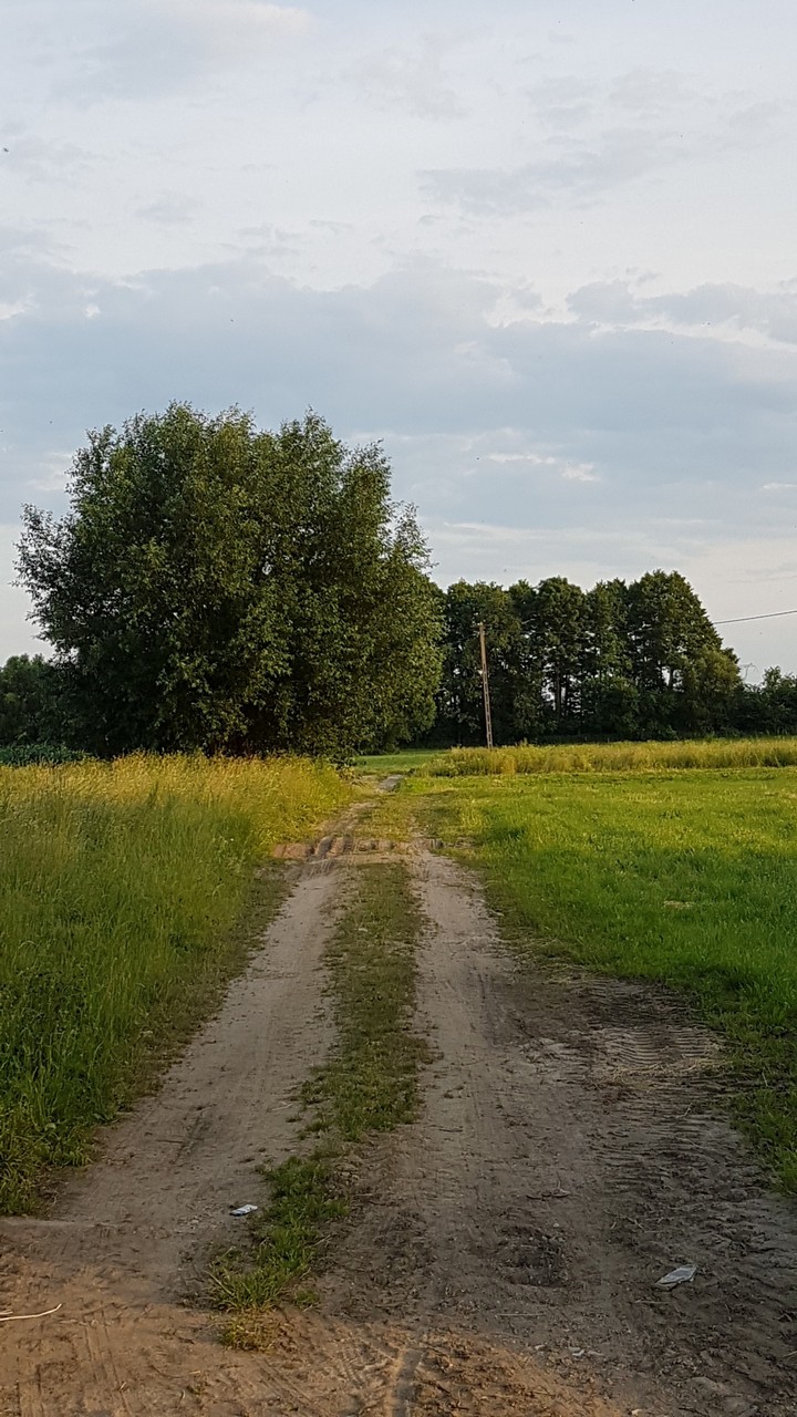 County road