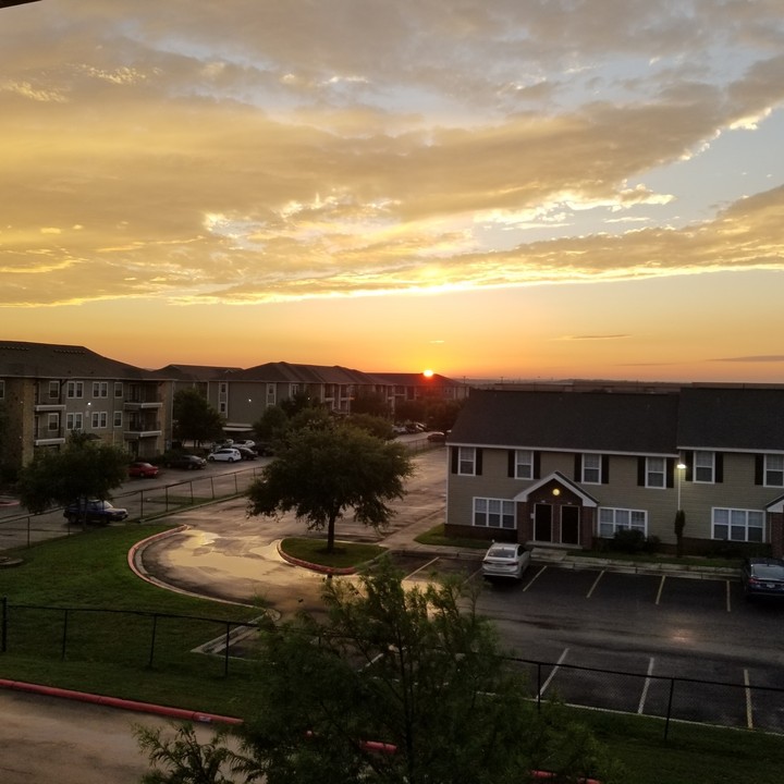 summer sunset