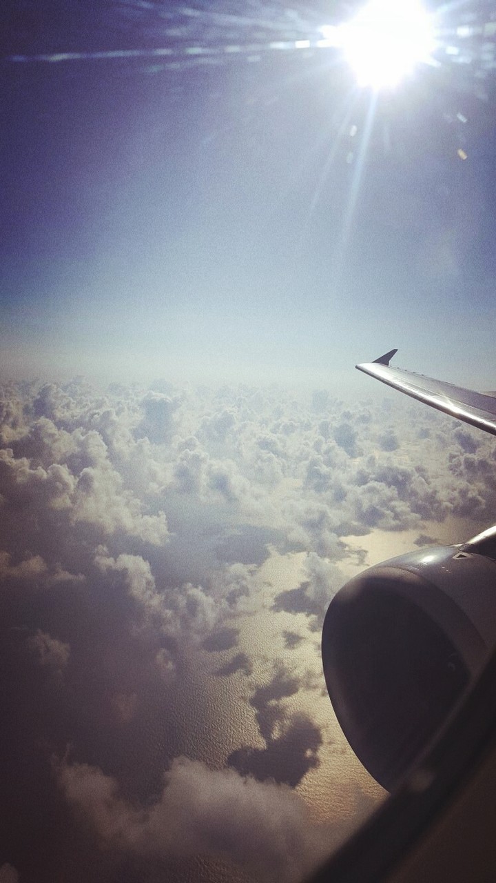 Fly
