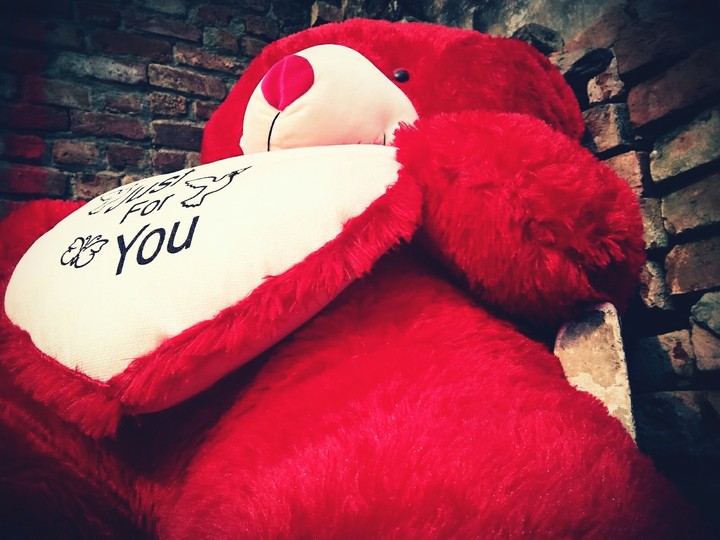 red teddy