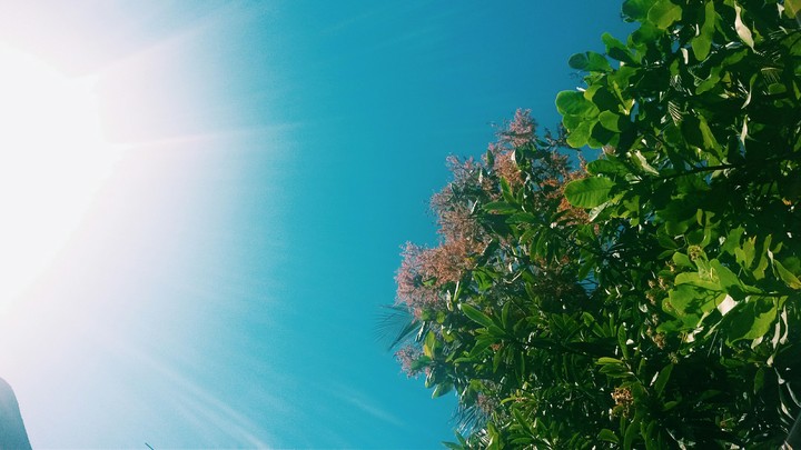 sol de tarde