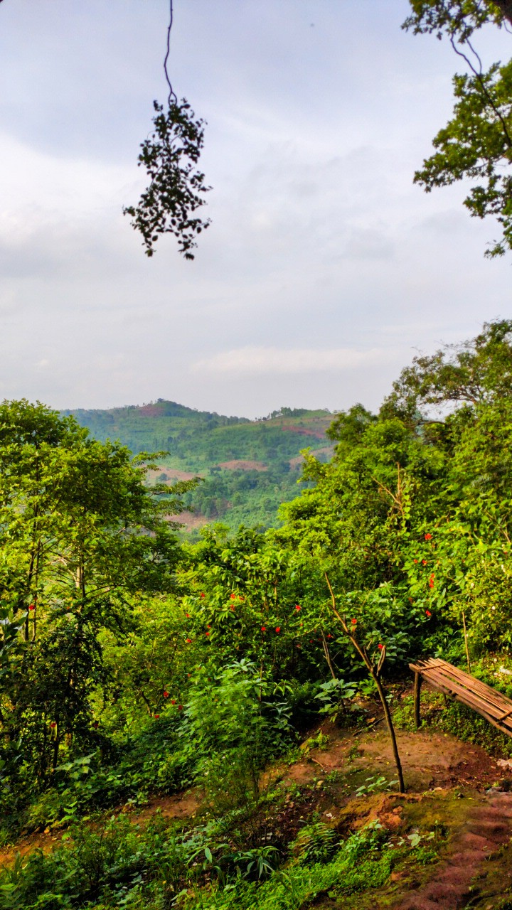 wonderful and natural place